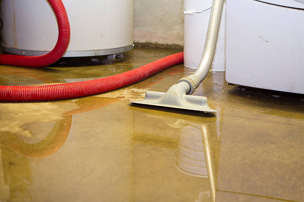 Best Ceiling water damage repair  in Tioga, TX