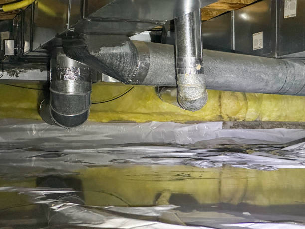 Best Flood restoration services  in Tioga, TX